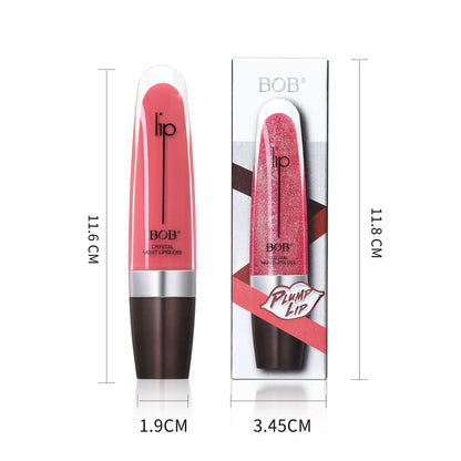 Plump Moisturising Lip Gloss