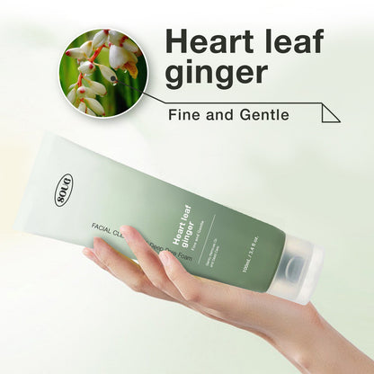 Acne Pore Facial Cleanser